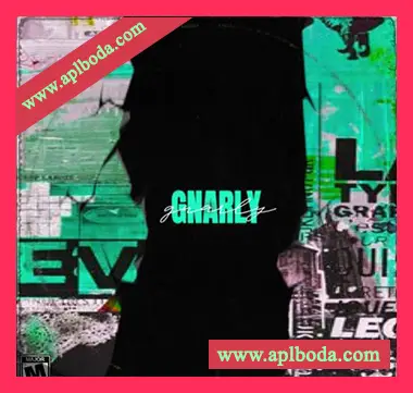 [嘻哈陷阱采样]Dynasty Loops Gnarly [WAV]（47Mb）