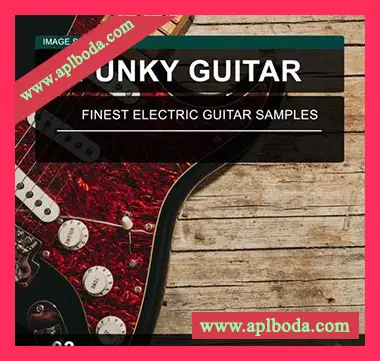 [流行放克吉他采样]Image Sounds Funky Guitar 03 [WAV]（15Mb）
