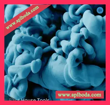 [低音浩室采样]Soundsmiths Bass House Tools [WAV]（272Mb）