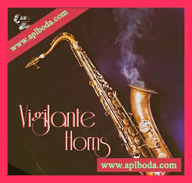[爵士布鲁斯铜管采样]LEX Sounds Vigilante Horns [WAV]（468Mb）