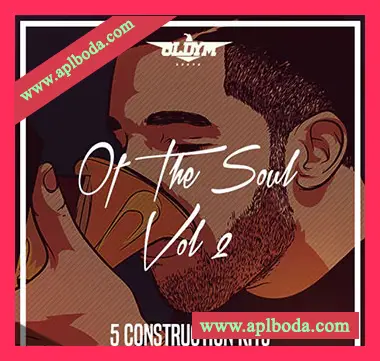 [灵魂RnB素材]OldyM Beatz Of The Soul Vol.2 [WAV, MiDi]（118Mb）