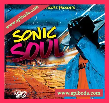 [灵魂RnB采样]Big Citi Loops Sonic Soul 5 [WAV]（67Mb）