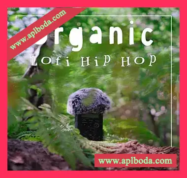 [氛围嘻哈电子采样]Mondo Loops Organic Lofi Hip Hop Vol.1 [WAV]（463Mb）