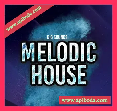 [House浩室采样Spire预置Sylenth1预置]Big Sounds Melodic House [WAV]（139Mb）