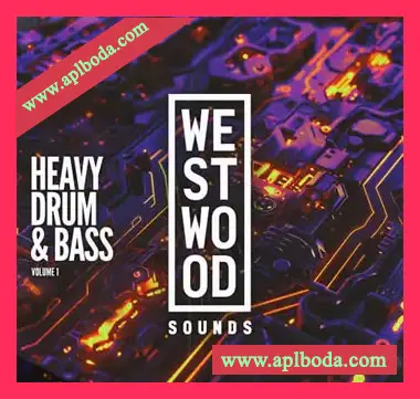 [鼓打贝斯采样Serum预置]Westwood Sounds Heavy Drum and Bass Vol. 1（802Mb）