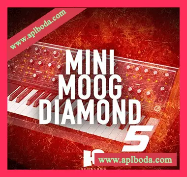 [灵魂RnB采样]HOOKSHOW Mini Moog Diamond 5 [WAV]（37Mb）