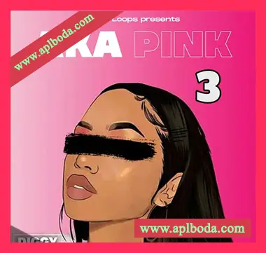 [灵魂RnB采样]Diggy Loops Aka Pink 3 [WAV]（96Mb）