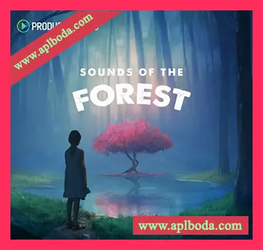 [氛围嘻哈素材]Producer Loops Sounds of the Forest [多格式]（1.89Gb）
