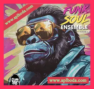 [放克采样]Vanilla Groove Studios Funk Soul Ensemble Vol 1 [WAV]（119Mb）
