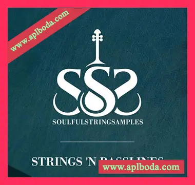 [弦乐贝斯线采样]Soulful String Samples Sexy String N’Bass Lines [WAV]（18Mb）