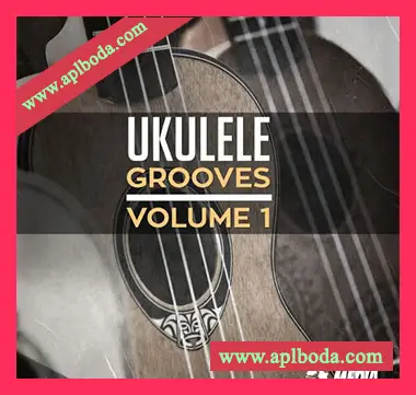 [流行爵士乡村尤克里里采样]New Beard Media Ukulele Grooves Volume 1 [WAV]（58Mb）