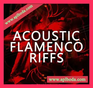 [拉丁吉他Riffs采样]Blackwood Samples Acoustic Flamenco Riffs [WAV]（147Mb）