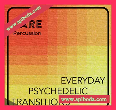 [上升下降噪音FX音效采样]RARE Percussion Everyday Psychedelic Transitions Vol.1 [WAV]（156Mb）