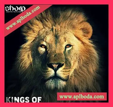 [科技浩室素材]SHARP Kings Of Tech House [WAV, MiDi]（182Mb）