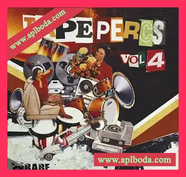 [灵魂RnB打击乐采样]RARE Percussion Tape Percs vol.4 [WAV]（256Mb）