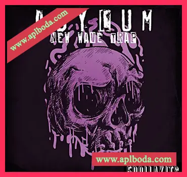 [嘻哈陷阱采样]5DOLLAKITS Asylum New Wave Trap [WAV]（76.58Mb）