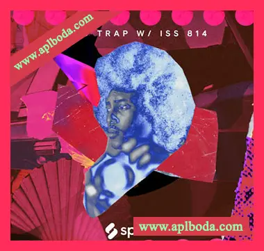 [嘻哈陷阱采样]Splice Sessions Afro Trap [WAV]（509Mb）