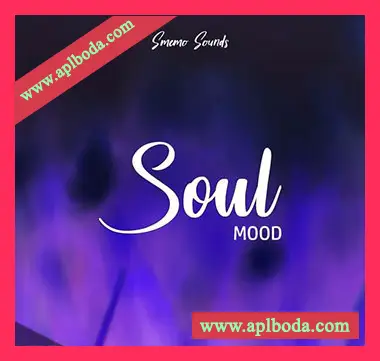 [Trap陷阱采样]Smemo Sounds SOUL MOOD [WAV]（93Mb）