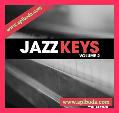 [爵士钢琴采样]New Beard Media Jazz Keys Vol.2 [WAV]（65Mb）