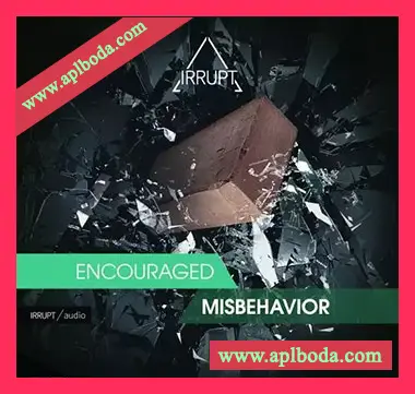 [浩室采样]Irrupt Encourage Misbehavior [WAV]（400Mb）