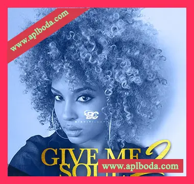 [灵魂RnB采样]Big Citi Loops Give Me Soul 2 [WAV]（218Mb）