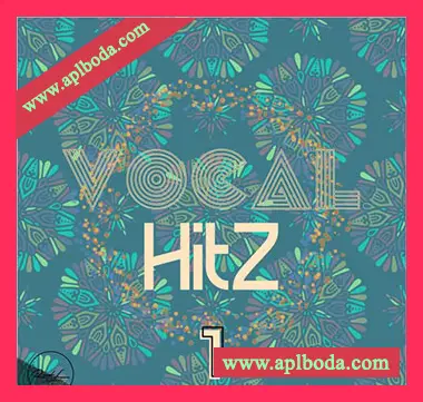 [Pop流行人声素材]Roundel Sounds Vocal Hits Vol.1 [WAV, MiDi]（383Mb）