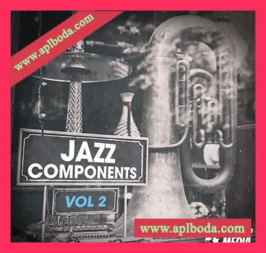 [爵士布鲁斯采样]New Beard Media Jazz Components Vol.2 [WAV]（55Mb）