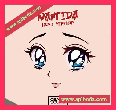 [低保真嘻哈采样]Osaka Sound Namida Lo-Fi Hip Hop [WAV]（371Mb）