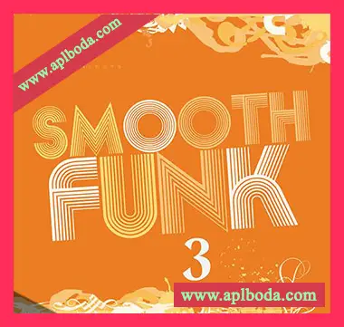 [爵士放克福音乐采样]Big Citi Loops Smooth Funk 3 [WAV]（182Mb）