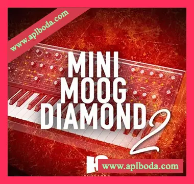 [灵魂RnB采样]HOOKSHOW Mini Moog Diamond 2 [WAV]（218Mb）