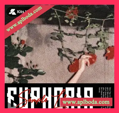 [氛围电子乐采样]Kits Kreme Euphoria Melodies [WAV]（113Mb）