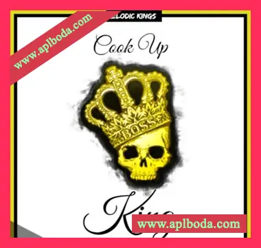 [嘻哈说唱陷阱采样]Melodic Kings Cook Up King [WAV]（20Mb）