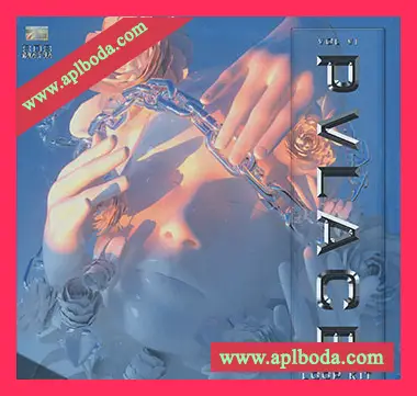 [氛围嘻哈采样]PVLACE Loopkit Vol.6 [WAV]（67Mb）