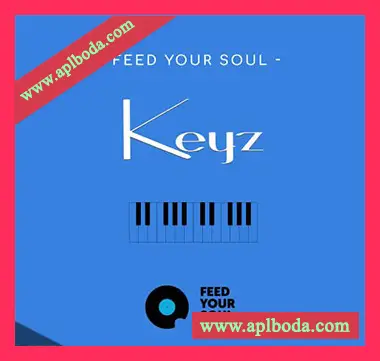 [灵魂乐键盘综合采样]Feed Your Soul Music Feed Your Soul Keyz [WAV]（56Mb）