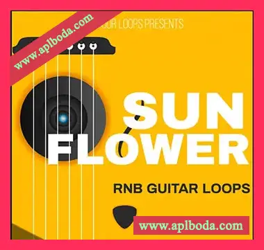 [嘻哈RnB采样]Major Loops Sunflower [WAV]（49Mb）