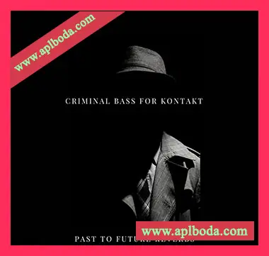 [怀旧乐采样]PastToFutureReverbs Criminal Bass [WAV]（257Mb）