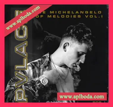 [嘻哈说唱采样]Splice Sounds Pvlace Michelangelo of Melodies Vol.1 [WAV]（166Mb）