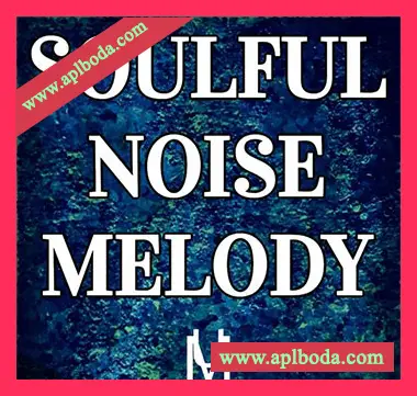 [灵魂RnB采样]Loops 4 Producers Soulful Noise Melody [WAV]（140Mb）