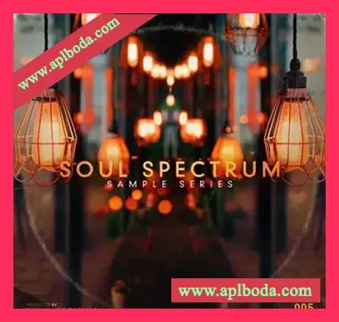 [灵魂嘻哈RnB采样]The Sample Lab Soul Spectrum Vol.5 (Compositions And Stems) [WAV]（356Mb）