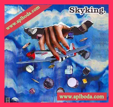 [Breaks鼓组采样]Skyking Drums 005 [WAV]（218Mb）