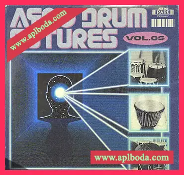 [非洲节奏采样]Rare Percussion Afro Drum Futures Vol.5 [WAV]（324.62Mb）