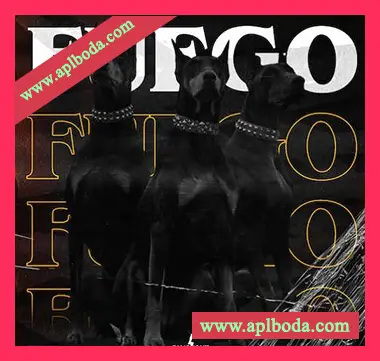 [Trap陷阱采样]Blvckout Fuego [WAV]（307Mb）