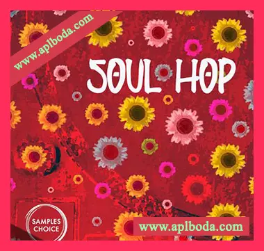 [嘻哈灵魂RnB采样]Samples Choice Soul Hop [WAV]（367Mb）