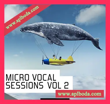 [流行RnB人声素材]Pulsed Records Micro Vocal Sessions Vol.2 [WAV, MiDi]（255Mb）