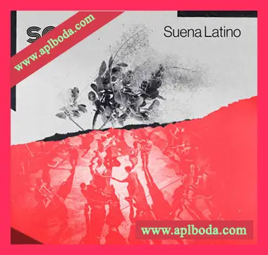 [拉丁乐素材Ableton鼓组扩展]Sonic Collective Suena Latino [WAV, MiDi]（152Mb）