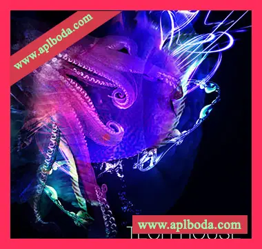 [高科技浩室采样]SPF Samplers Tech House Samples [WAV]（223Mb）