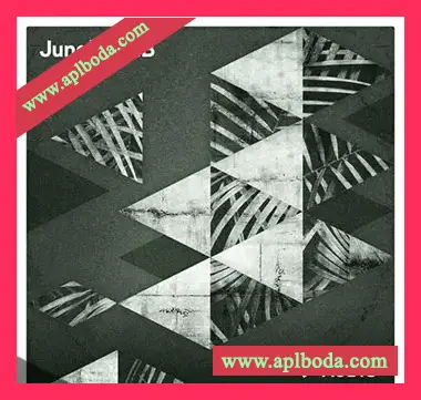 [鼓打贝斯素材Ableton扩展Maschine扩展]Niche Audio Jungle DNB（443Mb）