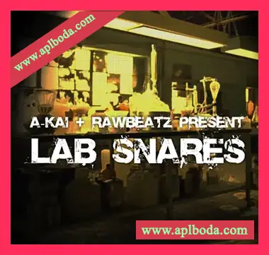 [嘻哈军鼓采样]RawBeatz Lab Snares [WAV]（7Mb）