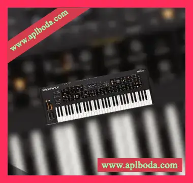 [Prophet预置电子乐]8Dio Prophet X Add On Arpistic 2600（1Gb）