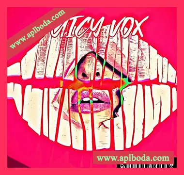 [嘻哈陷阱奇幻贝斯VOX人声采样]5DOLLAKITS Juicy Vox [WAV]（18Mb）
